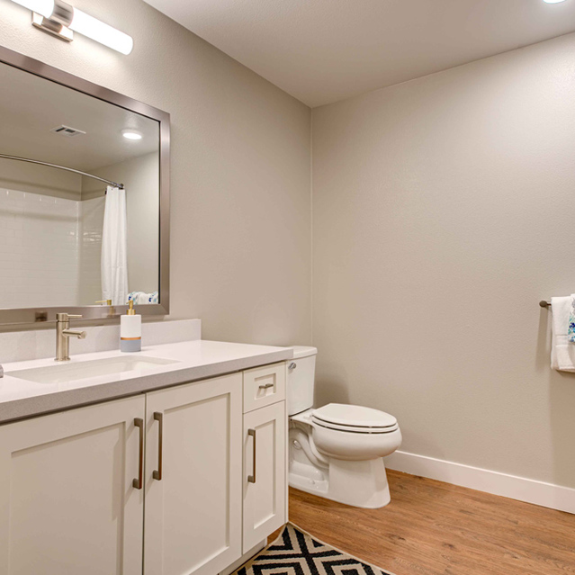 The Summit - Toilet and Bath